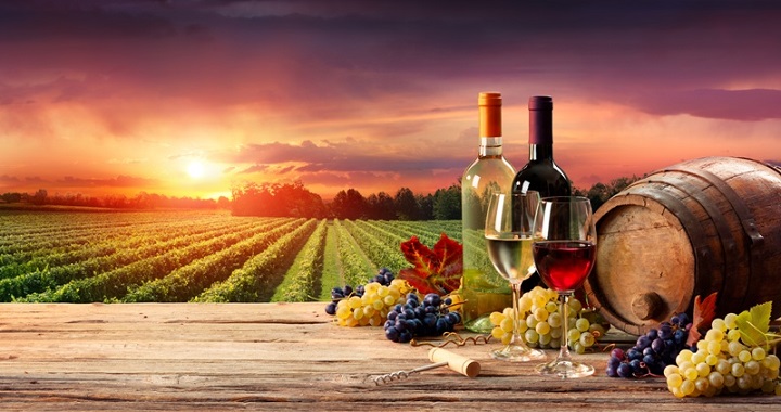 بزرگترین تولید کننده شراب ایتالیا
